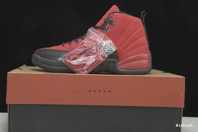 FLU 'REVERSE GAME' 12 RETRO CT8013 JORDAN - 602 AIR 0718